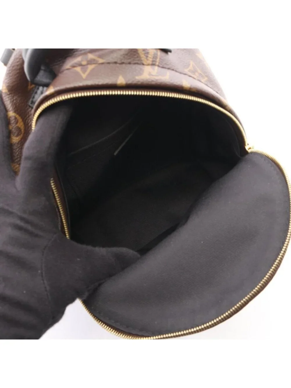Louis Vuitton Backpack Palm Spring Mini Canvas Leather
